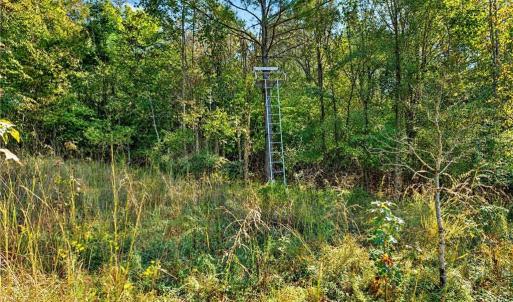 Photo #23 of 2347 Clacie, Liberty, NC 79.4 acres