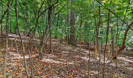 Photo #27 of 2347 Clacie, Liberty, NC 79.4 acres