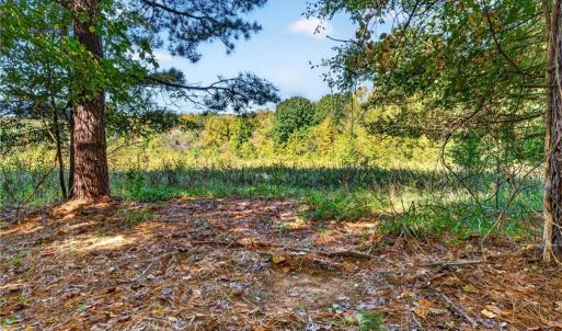 Photo #6 of 2347 Clacie, Liberty, NC 79.4 acres