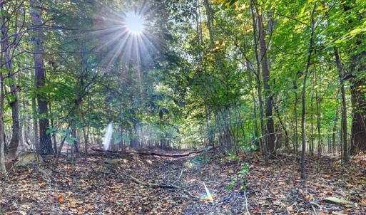 Photo #43 of 2347 Clacie, Liberty, NC 79.4 acres
