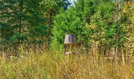 Photo #28 of 2347 Clacie, Liberty, NC 79.4 acres