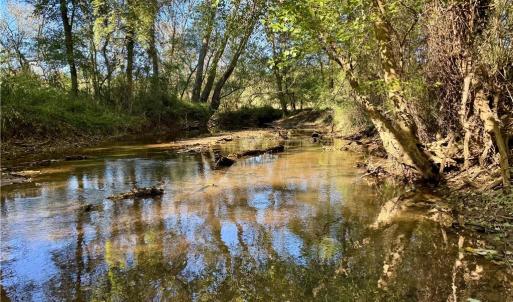 Photo #5 of 2347 Clacie, Liberty, NC 79.4 acres