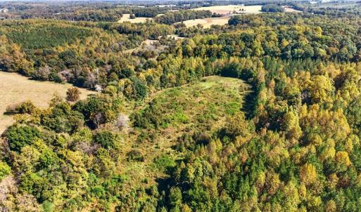 Photo #41 of 2347 Clacie, Liberty, NC 79.4 acres