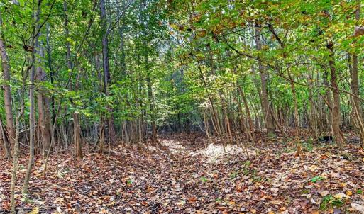 Photo #37 of 2347 Clacie, Liberty, NC 79.4 acres