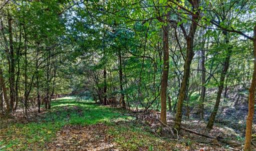 Photo #15 of 2347 Clacie, Liberty, NC 79.4 acres