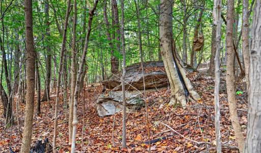 Photo #19 of 2347 Clacie, Liberty, NC 79.4 acres