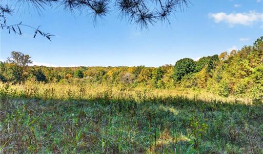 Photo #40 of 2347 Clacie, Liberty, NC 79.4 acres