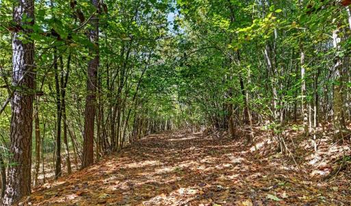 Photo #8 of 2347 Clacie, Liberty, NC 79.4 acres