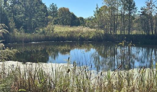 Photo #25 of 2347 Clacie, Liberty, NC 79.4 acres