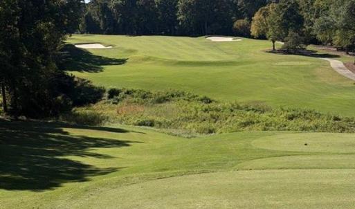 Golf Course View