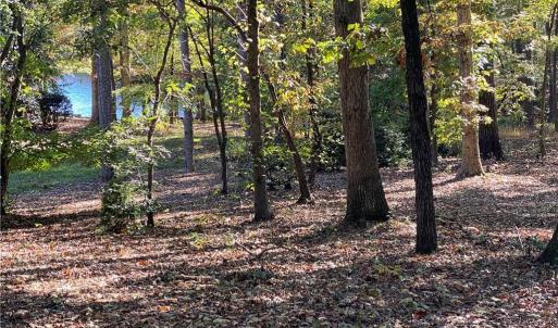 Seasonal Lake View