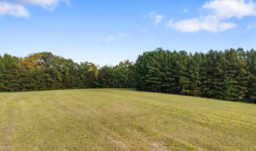 Photo #17 of 2025 Gravel Hill, Ruffin, NC 258.6 acres