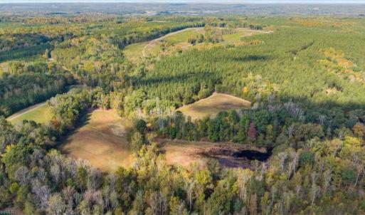 Photo #7 of 2025 Gravel Hill, Ruffin, NC 258.6 acres