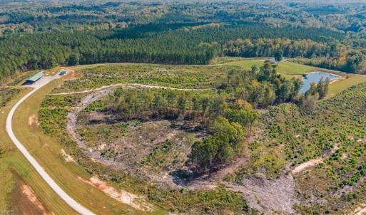 Photo #9 of 2025 Gravel Hill, Ruffin, NC 258.6 acres