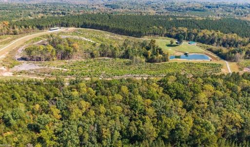 Photo #4 of 2025 Gravel Hill, Ruffin, NC 258.6 acres