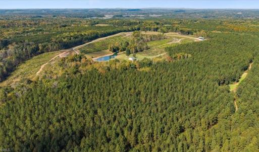 Photo #8 of 2025 Gravel Hill, Ruffin, NC 258.6 acres