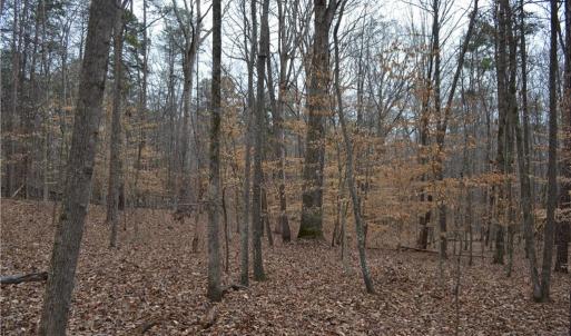 Photo #18 of 17 Acres Davie, Madison, NC 17.2 acres