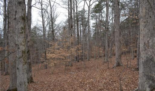 Photo #19 of 17 Acres Davie, Madison, NC 17.2 acres