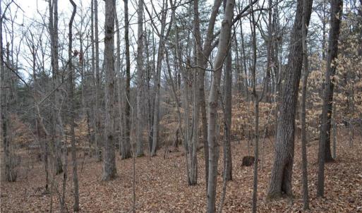 Photo #21 of 17 Acres Davie, Madison, NC 17.2 acres