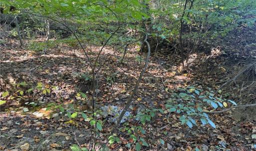 Photo #9 of Lot 1 Hidden Creek, Reidsville, NC 10.3 acres