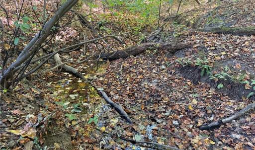 Photo #8 of Lot 1 Hidden Creek, Reidsville, NC 10.3 acres
