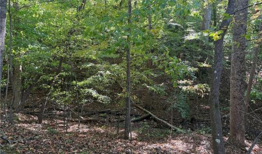 Photo #23 of Lot 8 Hidden Creek, Reidsville, NC 13.5 acres