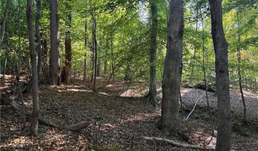 Photo #2 of Lot 8 Hidden Creek, Reidsville, NC 13.5 acres