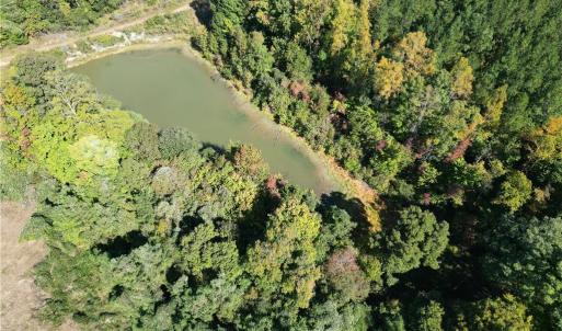 Photo #6 of Lot 8 Hidden Creek, Reidsville, NC 13.5 acres