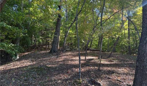 Photo #22 of Lot 8 Hidden Creek, Reidsville, NC 13.5 acres
