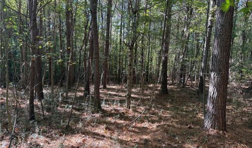 Photo #20 of Lot 8 Hidden Creek, Reidsville, NC 13.5 acres