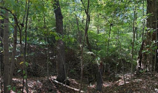 Photo #24 of Lot 8 Hidden Creek, Reidsville, NC 13.5 acres