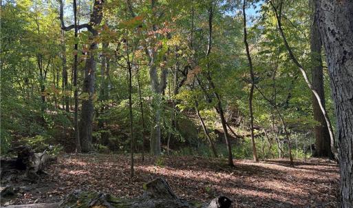 Photo #21 of Lot 8 Hidden Creek, Reidsville, NC 13.5 acres