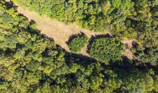 Cleared area in the back of the property