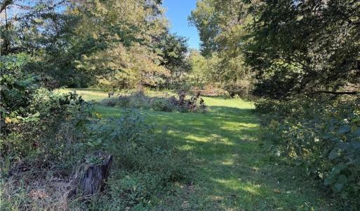 Photo #20 of 3203 Nancy Jean, Greensboro, NC 12.2 acres