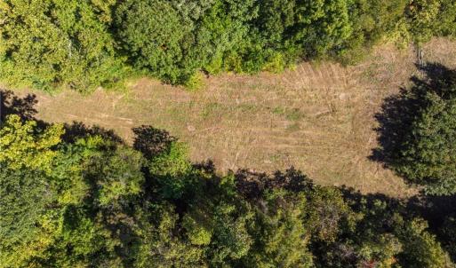 Photo #8 of 3203 Nancy Jean, Greensboro, NC 12.2 acres