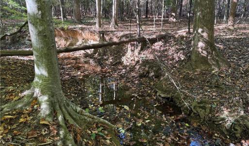 Photo #13 of Lot 4 Hidden Creek, Reidsville, NC 24.5 acres