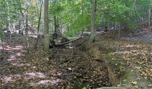 Photo #17 of Lot 4 Hidden Creek, Reidsville, NC 24.5 acres