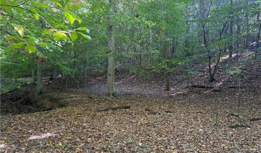 Photo #16 of Lot 4 Hidden Creek, Reidsville, NC 24.5 acres