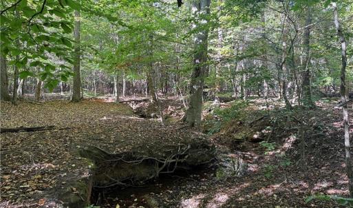 Photo #12 of Lot 4 Hidden Creek, Reidsville, NC 24.5 acres