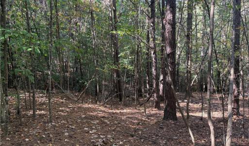 Photo #7 of Lot 4 Hidden Creek, Reidsville, NC 24.5 acres