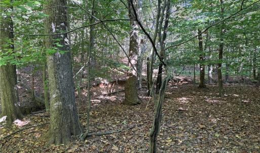 Photo #9 of Lot 4 Hidden Creek, Reidsville, NC 24.5 acres