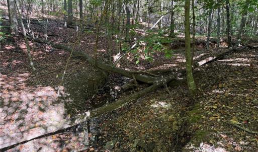 Photo #10 of Lot 4 Hidden Creek, Reidsville, NC 24.5 acres