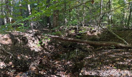 Photo #14 of Lot 4 Hidden Creek, Reidsville, NC 24.5 acres