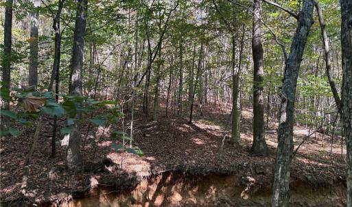 Photo #18 of Lot 4 Hidden Creek, Reidsville, NC 24.5 acres