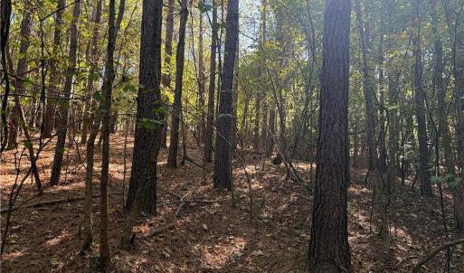 Photo #15 of Lot 4 Hidden Creek, Reidsville, NC 24.5 acres