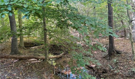 Photo #11 of Lot 4 Hidden Creek, Reidsville, NC 24.5 acres