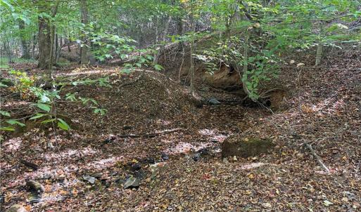 Photo #19 of Lot 4 Hidden Creek, Reidsville, NC 24.5 acres