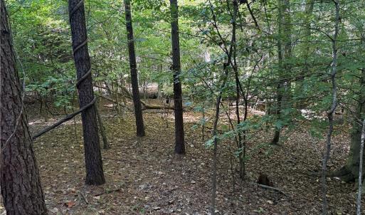 Photo #8 of Lot 4 Hidden Creek, Reidsville, NC 24.5 acres
