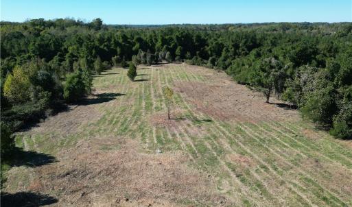 Photo #21 of Lot 4 Hidden Creek, Reidsville, NC 24.5 acres