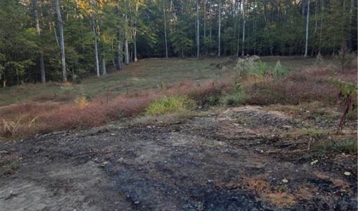 Photo #7 of 155 Cotton, Mocksville, NC 10.6 acres